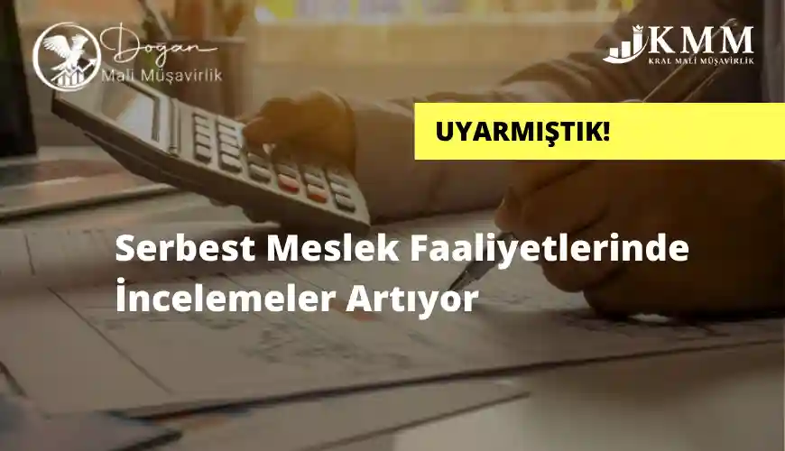 serbest meslek faaliyetlerinde incelemeler