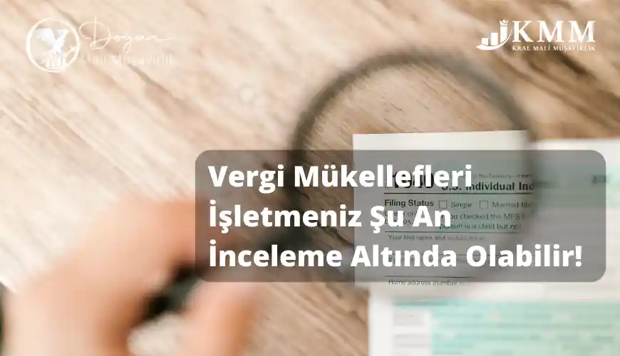maliye vergi incelemesi